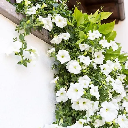 Mayr Guest house Castelrotto